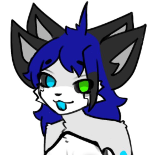 Kyte